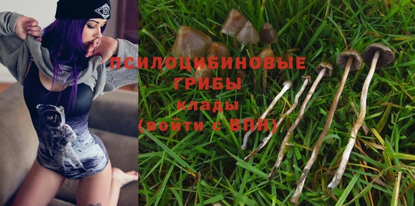 дживик Наволоки