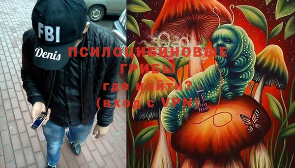 дживик Наволоки